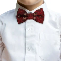 BOY Disney Abu Scattered Red Big Boy's Bow Tie