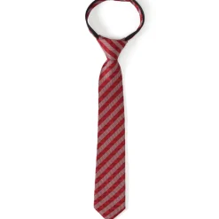 BOY Disney Cars Lightning McQueen Red Boys' Zipper Tie