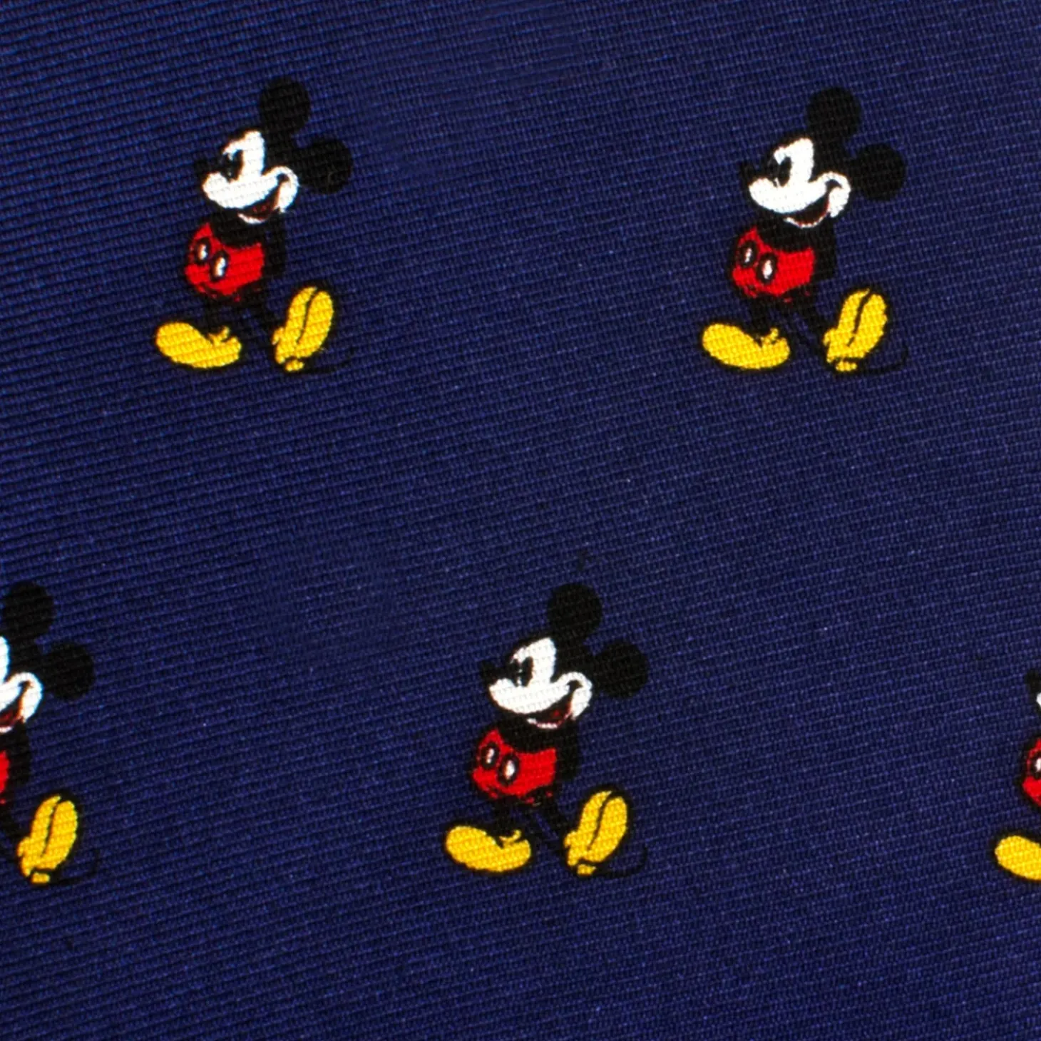 BOY Disney Classic Mickey Mouse Boys' Zipper Tie