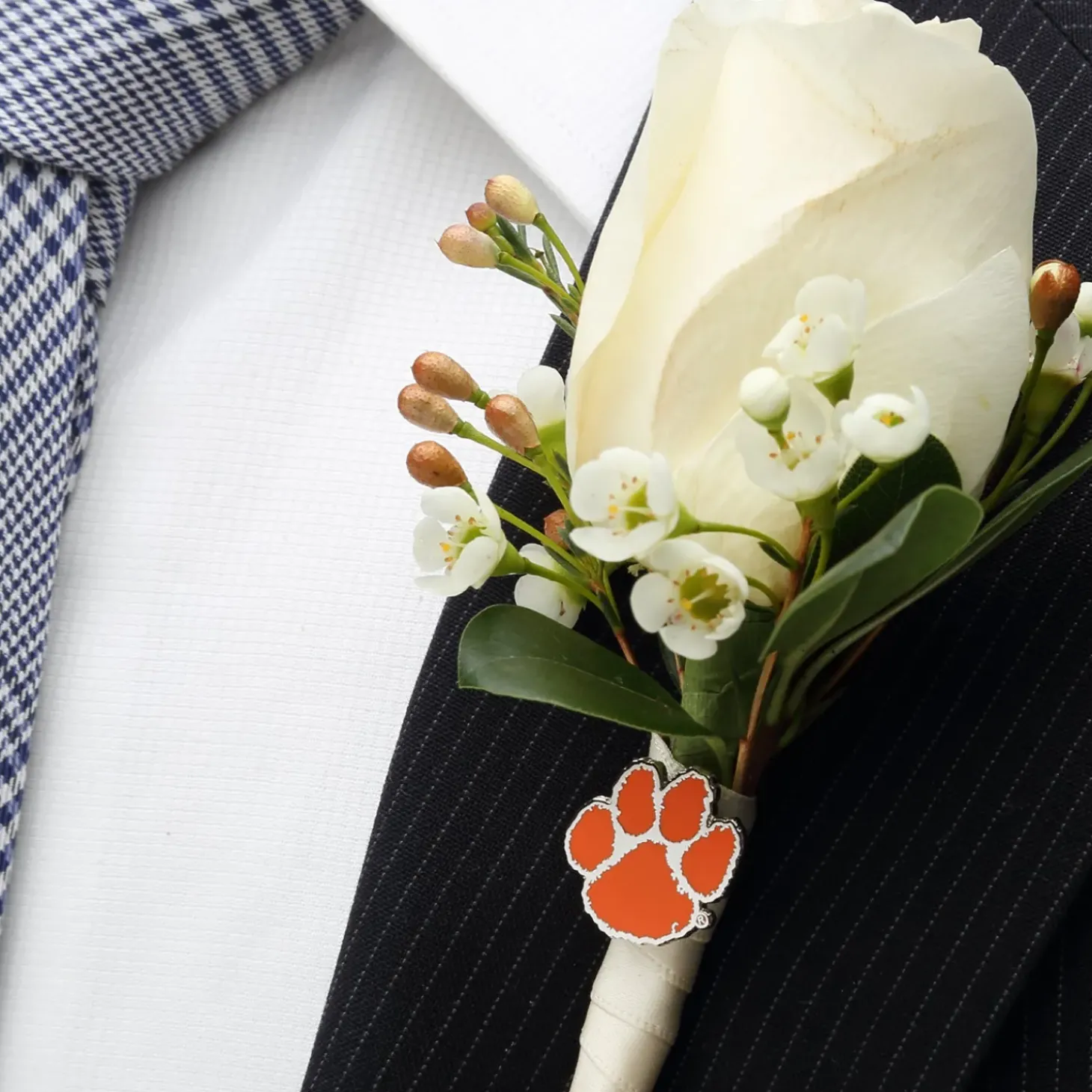 NCAA Clemson University Tigers Lapel Pin