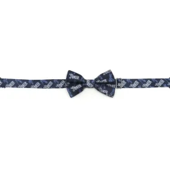 BOY DC Comics Joker Blue Boy's Bow Tie