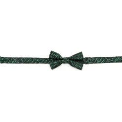 BOY DC Comics Joker Ha Ha Green Boy's Bow Tie