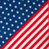 Cufflinks, Inc. Stars and Stripes Pocket Square