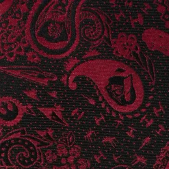 Star Wars Vader Paisley Black and Red Men's Tie